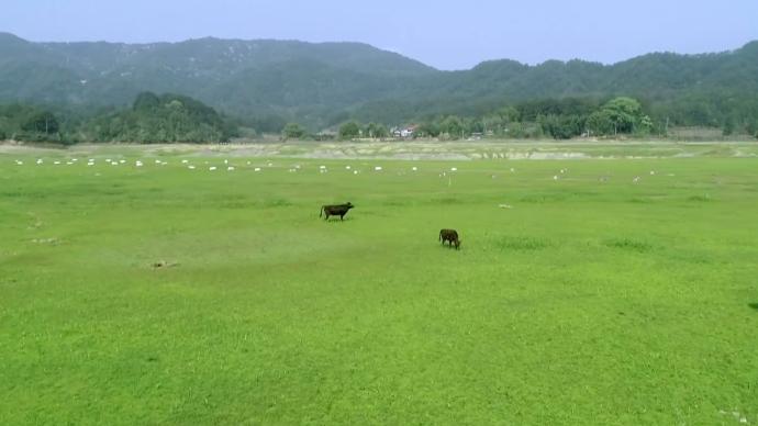 瞰見｜在湖泊草場(chǎng)，探秘福建喀斯特峽谷