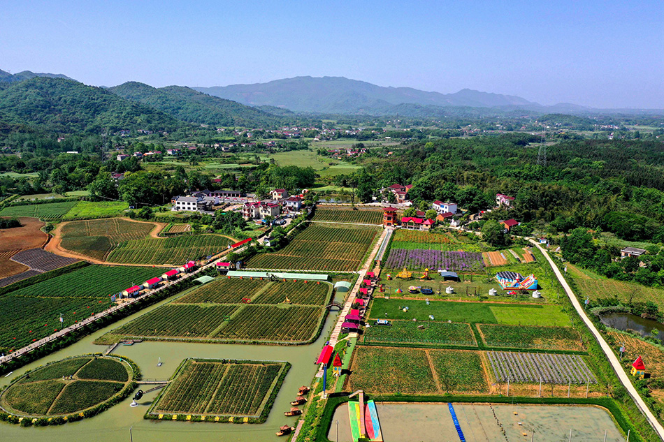 荆州铜陵村农庄图片