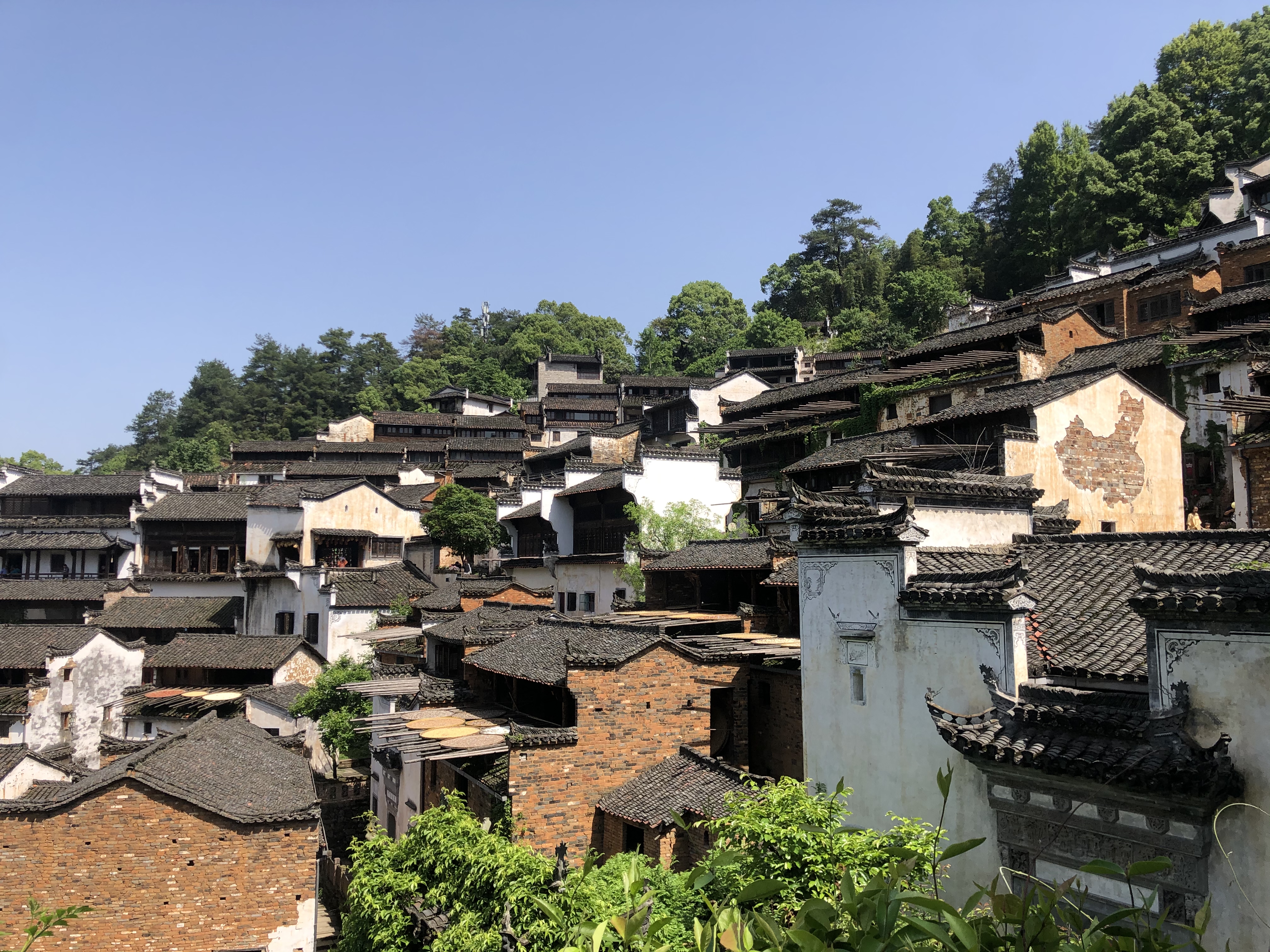 沿着高速看中国丨打卡最美乡村,从"千年瓷都"到"天下第一奇山"_澎湃