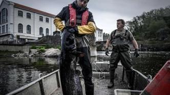 法国渔民抗议后，欧盟指责英国为渔权设限违反脱欧协议