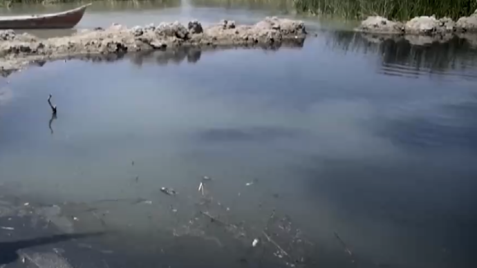 重金属废水排入美索不达米亚湿地，世界遗产面临生态灾难