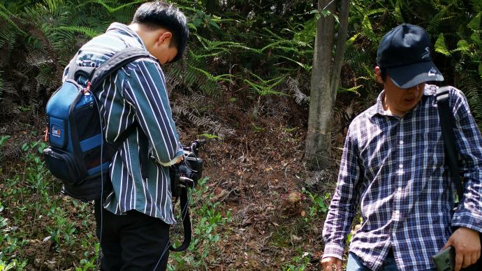 “杭州现疑似豹子”追踪：专家团队上山寻迹，将架设红外相机