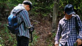 “杭州现疑似豹子”追踪：专家团队上山寻迹，将架设红外相机