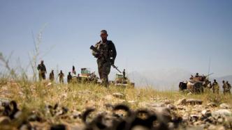 阿富汗安全部队打死250名塔利班成员
