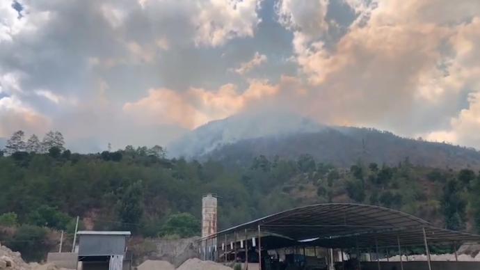 云南大理森林山火已扑灭，过火面积约48公顷
