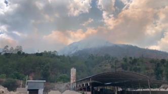 云南大理森林山火已扑灭，过火面积约48公顷