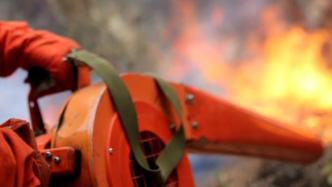云南大理森林火灾明火已被扑灭：2500人参与，无人员伤亡