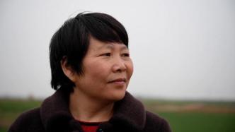 农妇诗人韩仕梅撤回离婚诉讼：女儿要高考了，不希望影响到她