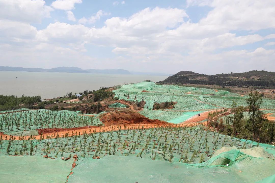 昆明书记市长现场督察长腰山整改不留尾巴不留后遗症