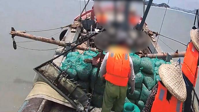 连查7起非法捕捞案，漳州海警查获渔获物35吨
