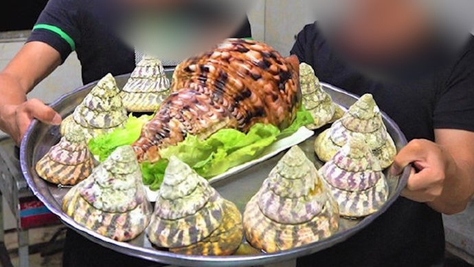 海南一美食博主食用国家二级保护动物“法螺”，3人被刑拘