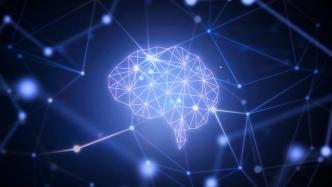 中科院学者研究：大脑是如何实现对未来行动的规划？