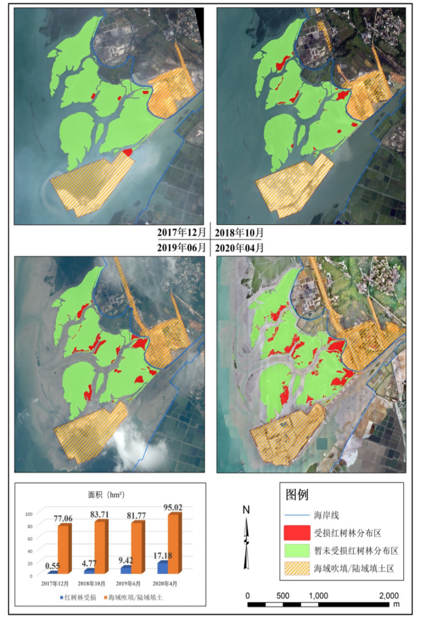 图2  2017年12月—2020年4月榄根作业区红树林受损面积逐年扩大