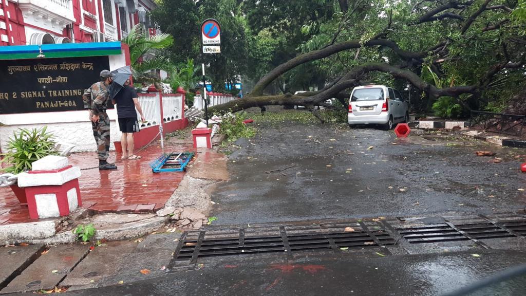 印度遭热带气旋“陶特”侵袭，很多树木被连根拔起或拦腰折断。