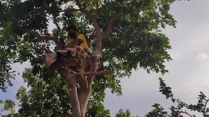 新冠检测呈阳性，印度一男子在树上隔离11天