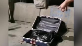 市民夜晚钓鱼拖上行李箱怀疑装人体组织，实际是一只狗