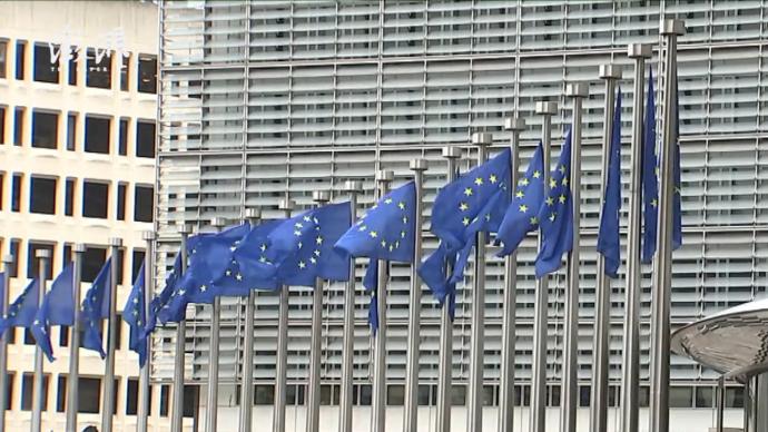 欧盟27国外长就巴以局势举行会议，但未能形成统一立场