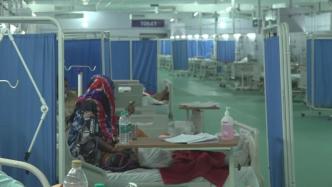 印度新冠并发毛霉菌病病例激增，已致至少219人死亡