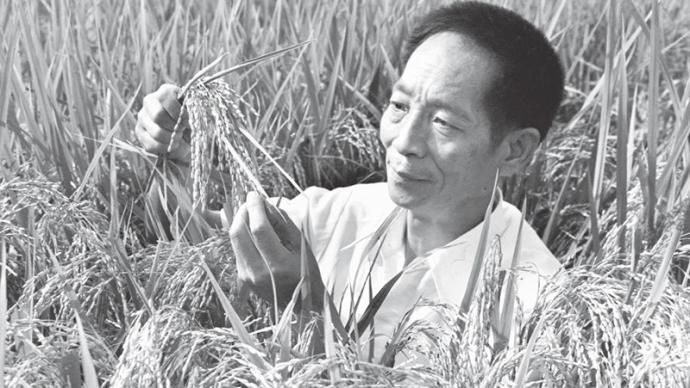 送别袁隆平：杂交水稻之父逝世前仍致力于“亿亩荒滩变良田”