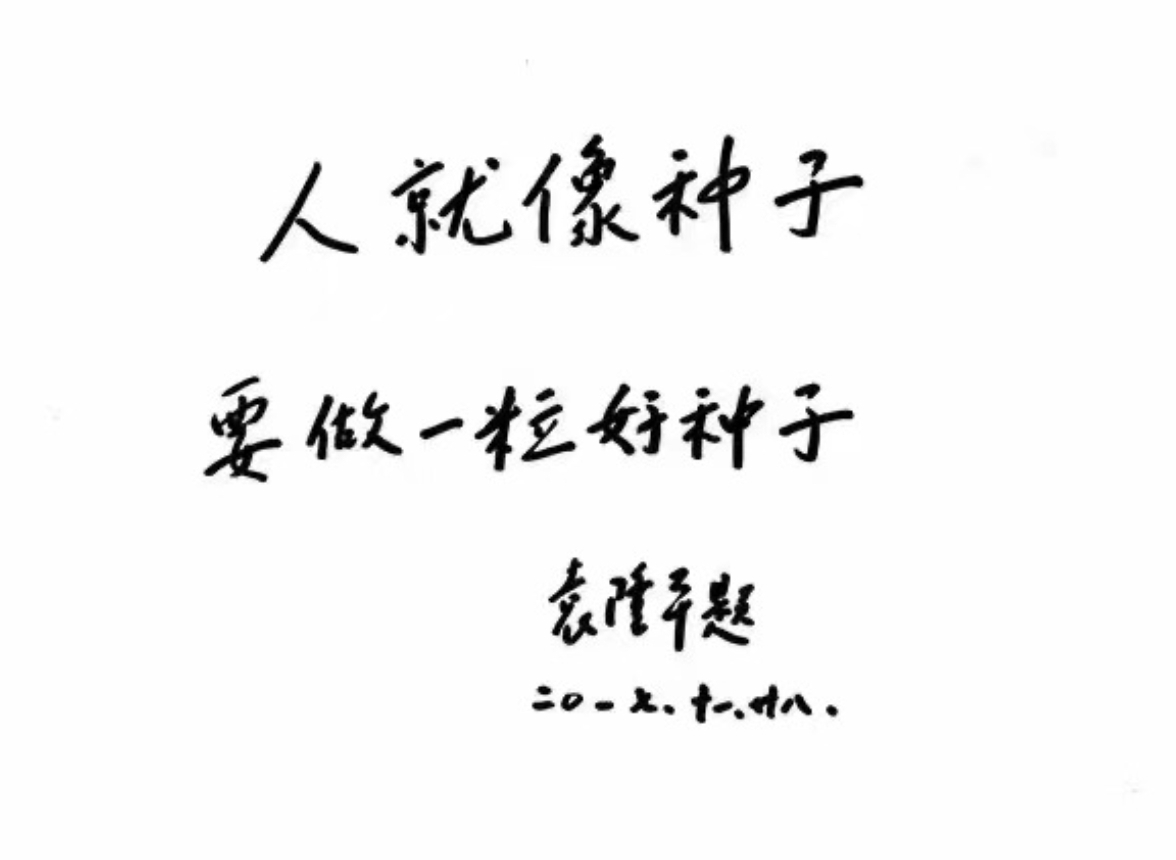 隆平高科公司悼念袁隆平 勇做杂交水稻事业的接班人 中国政库 澎湃新闻 The Paper