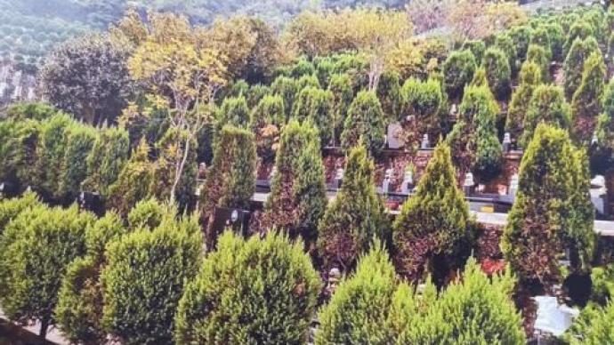 湖北一公墓公司非法占用林地被判异地开荒种树