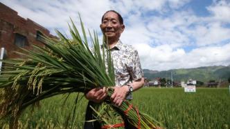 袁隆平曾建言宁夏水稻发展：大面积亩产800公斤不会遥远