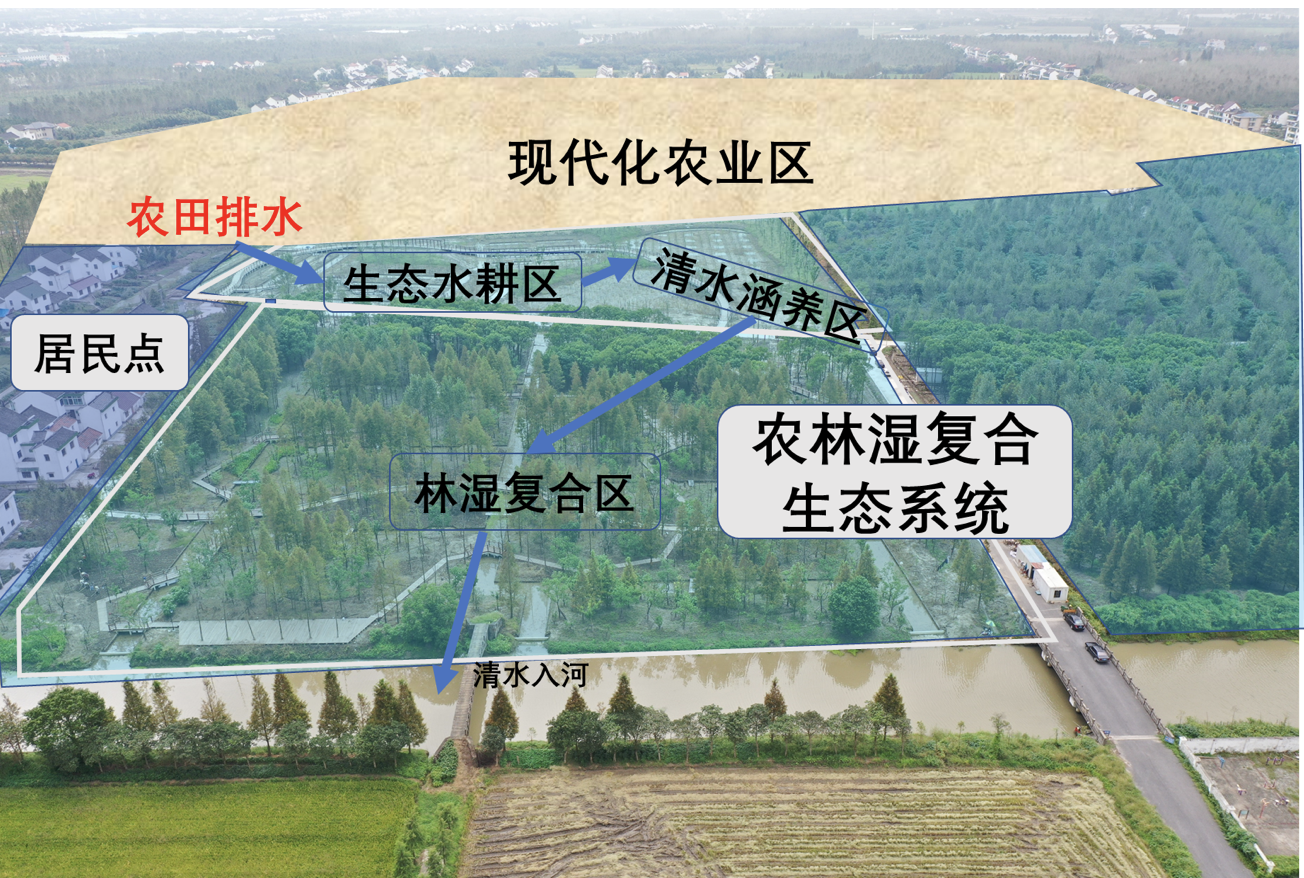 廊下镇友好村结合土地整治的生态修复项目陈雪初 图