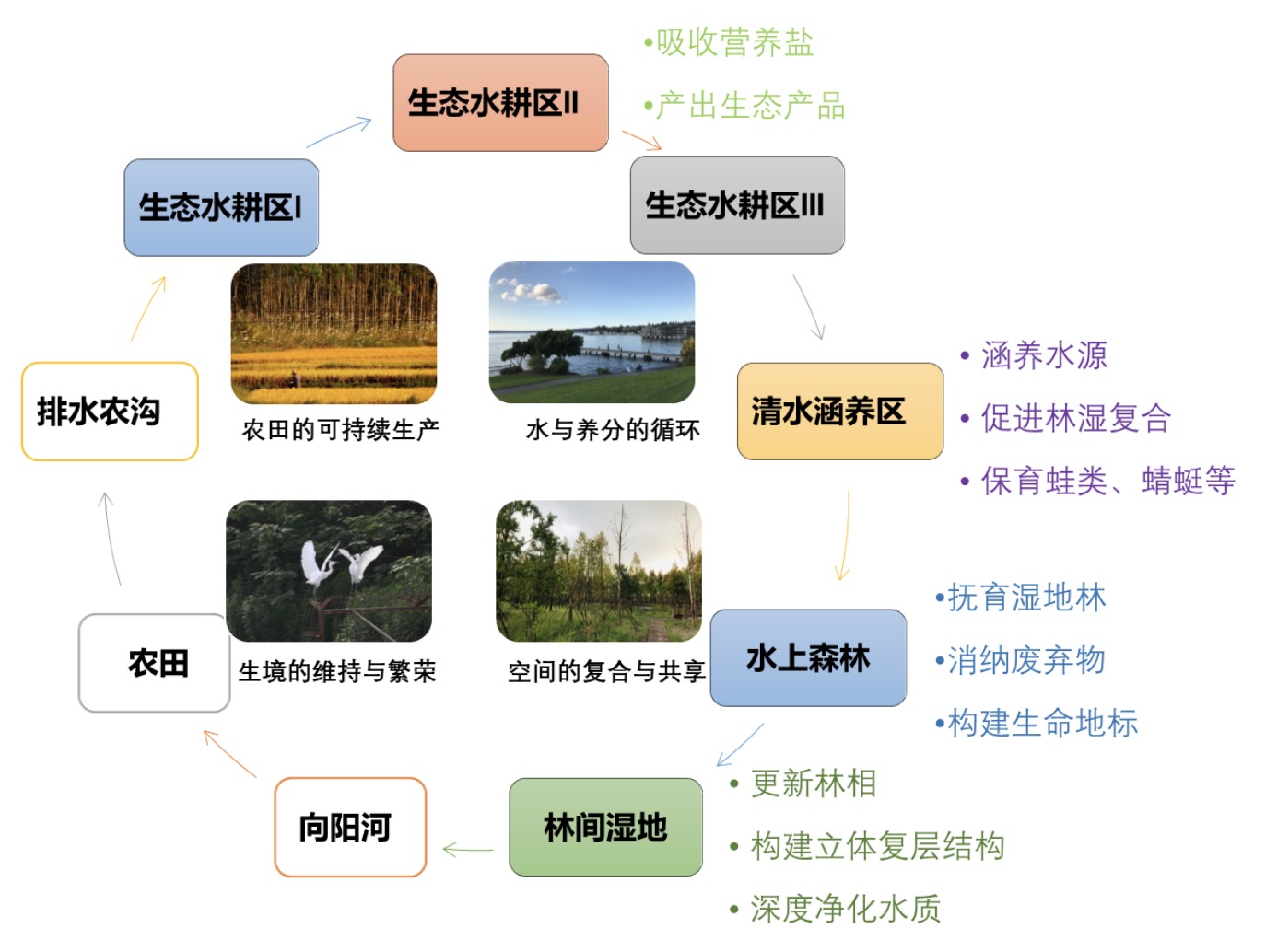 社会工作生态系统图图片