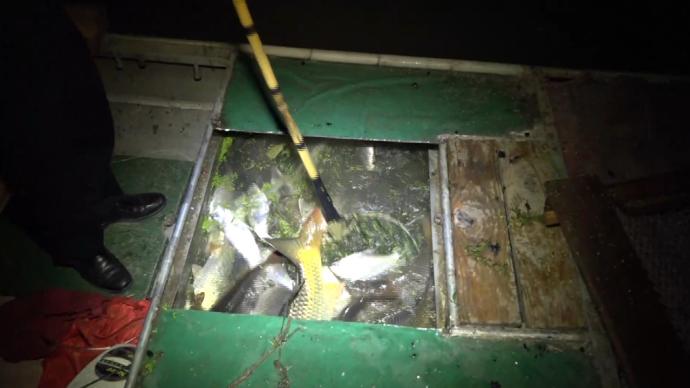 男子夜间非法电鱼被抓现行，执法人员：产卵季电鱼危害大