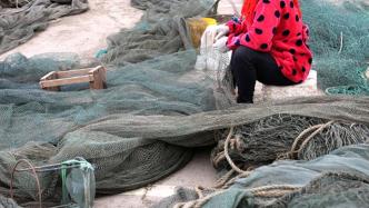 中国海警局：近400艘渔船休渔期内违法捕捞被查获