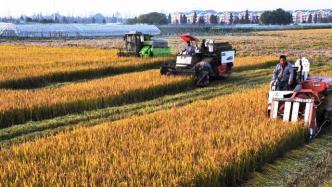 农业农村部成立农作物生产全程机械化专家指导组