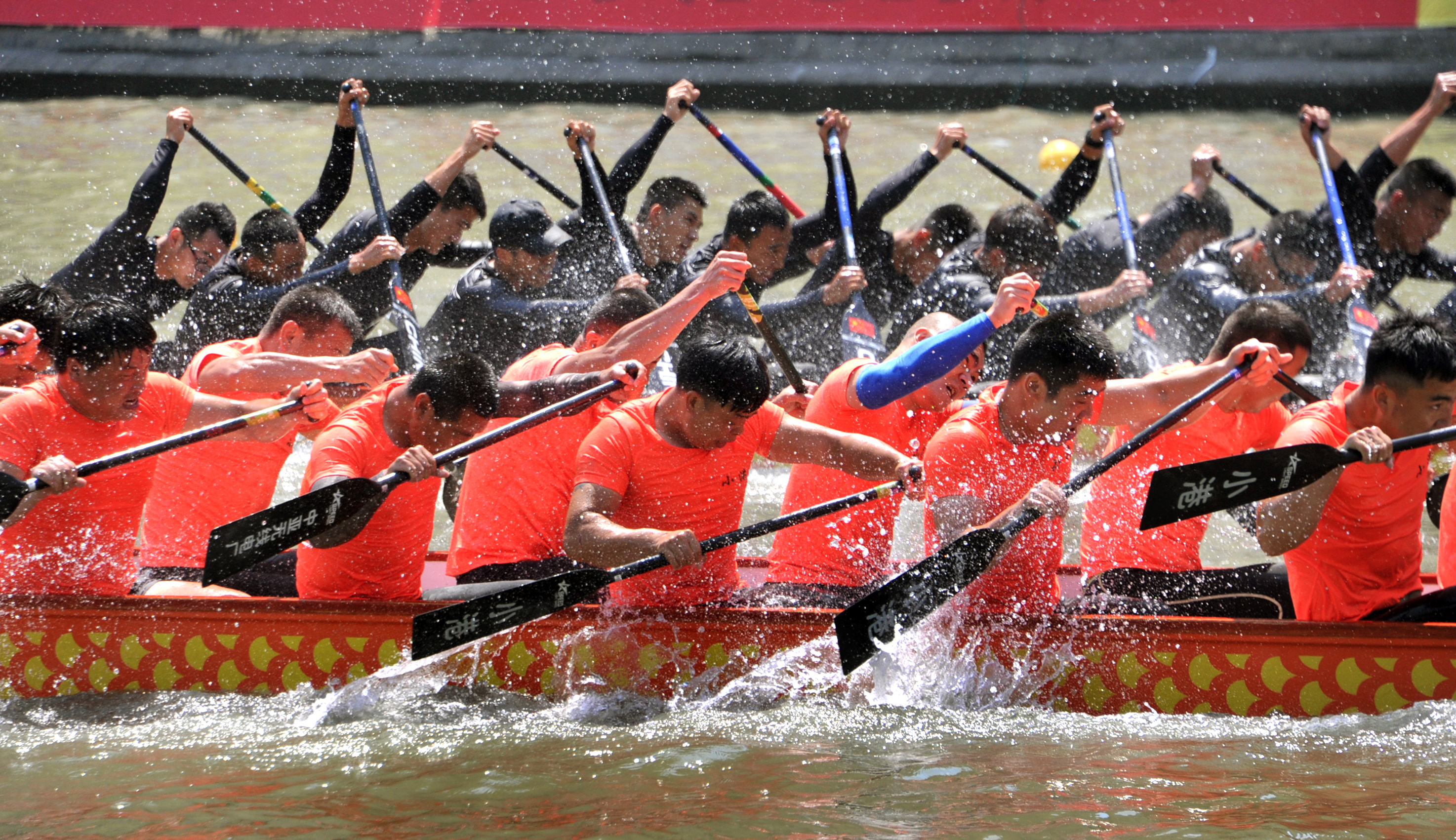 上海苏州河城市龙舟邀请赛开赛_上直播_澎湃新闻-the paper