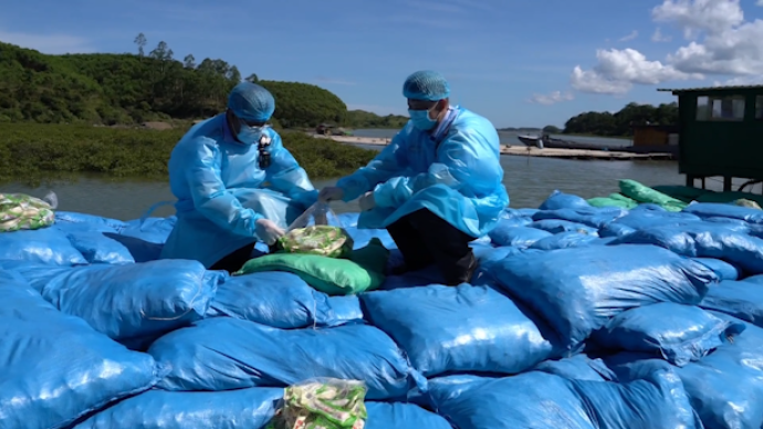 南寧海關查獲涉嫌走私即食雞爪37.53噸，案值40萬元