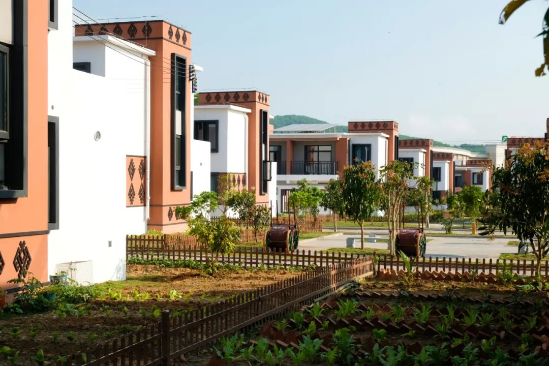 赓续红色基因海南白沙县探索生态和民生共赢之路