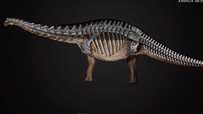 澳大利亚发现巨型蜥脚类恐龙新物种