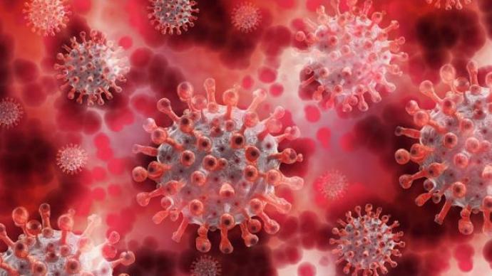 伯明翰大学研究：新冠病毒令患者免疫系统攻击自身组织或器官
