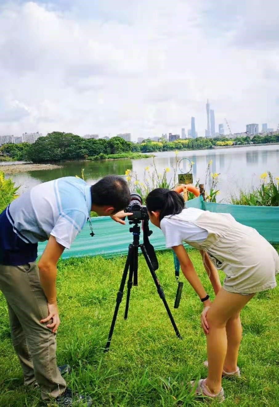 海珠湖。作者拍摄,2019年7月28日