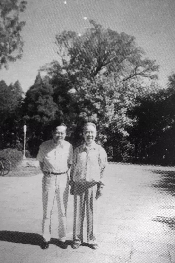 纪念可凡倾听回顾许渊冲先生见好就学译生受用