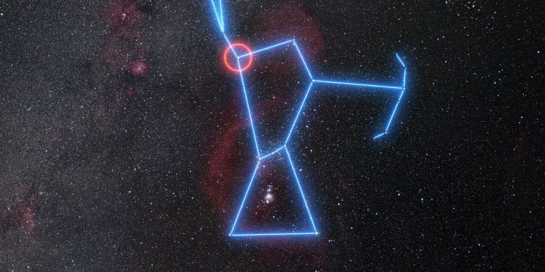 参宿四所在天空区域的广角视图，参宿四属猎户座。图片来自N.Risinger/《自然》在线版