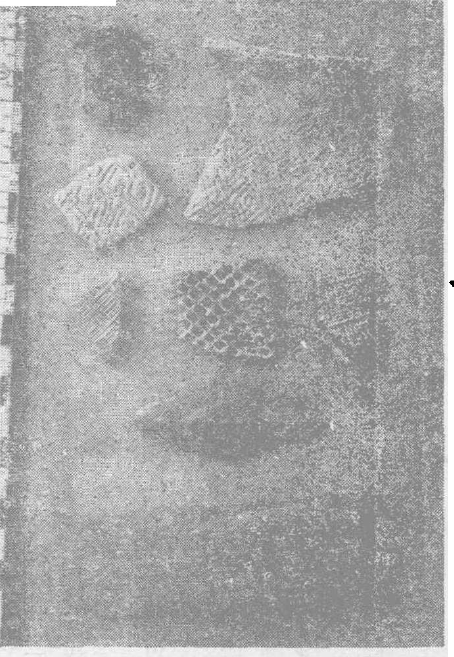 图十  长沙所出土的新石器时代的陶片及石器