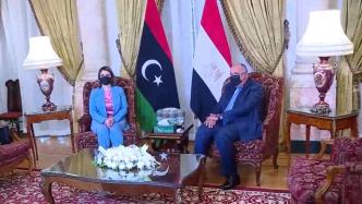 埃及和利比亚外长会晤，商讨利比亚和平进程