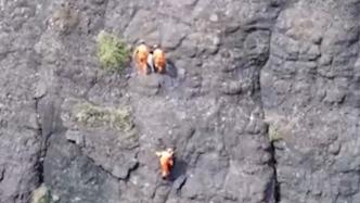 玉林4岁女童山上走失，消防员用无人机在悬崖上找到