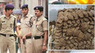 印度一村庄800公斤牛粪失窃，当地警方展开大规模搜查