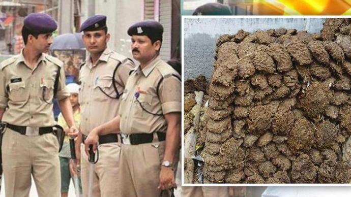 印度一村庄800公斤牛粪失窃，当地警方展开大规模搜查