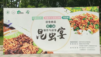 油炸蚕蛹、蚂蚁卵意面、蜂蛹寿司，华中农业大学举办昆虫宴
