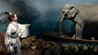 从“曹冲称象”到《大象的退却》：中国古代存在“自然观”吗
