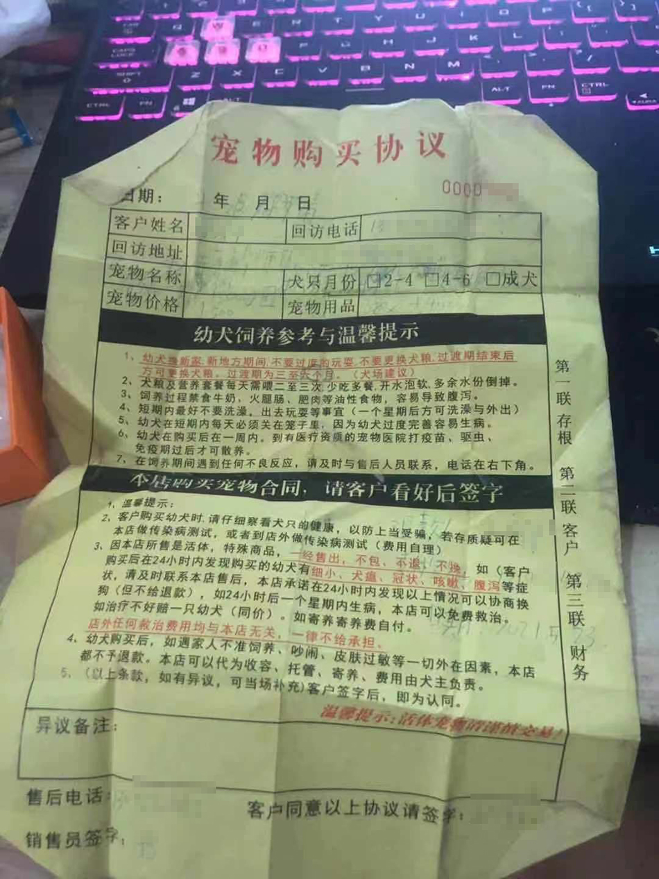 多名消費者買到星期狗索賠遭拒涉事寵物店曾被多人起訴