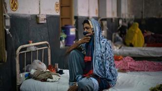 印度毛霉菌感染病例超4万例，其中3129人死亡