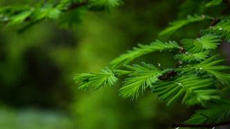 江苏省委原常委、省政府原常务副省长高德正逝世，享年88岁