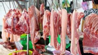 华储网：2021年第一次中央储备冻猪肉收储竞价交易2万吨